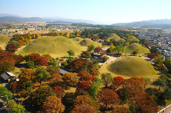 Historic and Natural Beauty- Gyeongju Autumn Foliage Day Tour - Autumn Foliage in South Korea