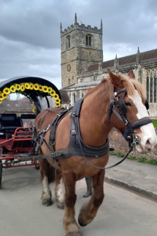 Horse Drawn Carriage Ride and Picnic Hamper - Pricing Details