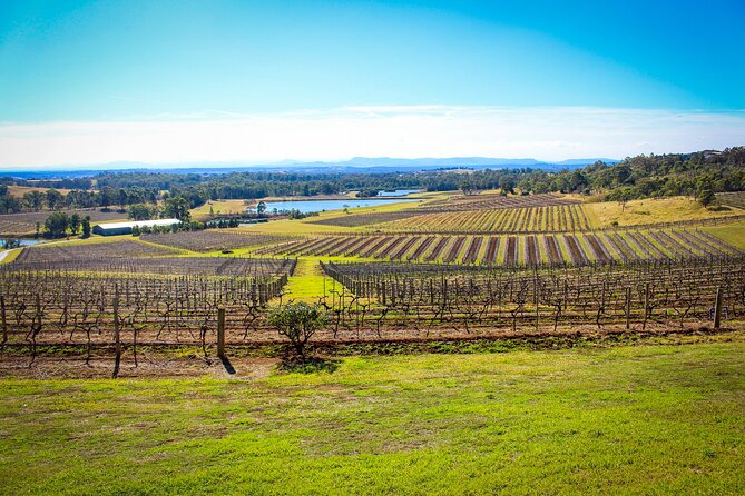 Hunter Valley Private Tour - Customizable Pickup Options Available