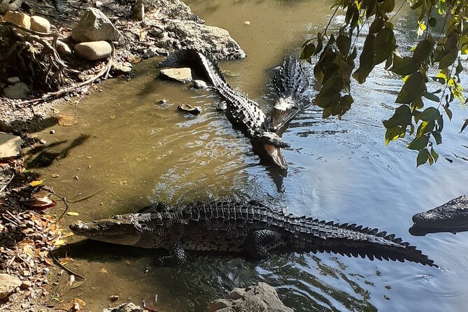 Ixtapa Island Tour - Highlights and Activities