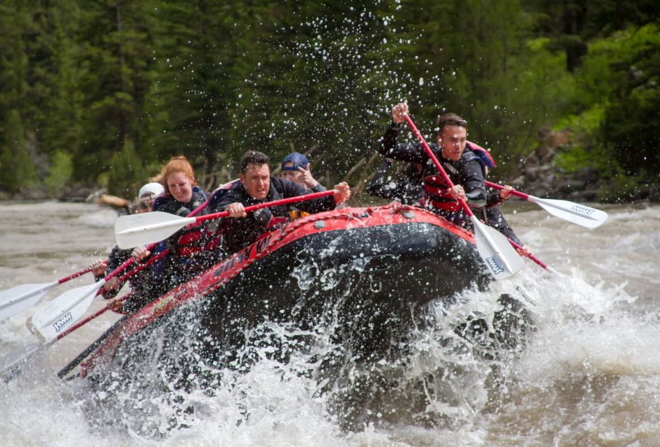 Jackson: Snake River Class 2-3 Whitewater Rafting Adventure - Customer Feedback