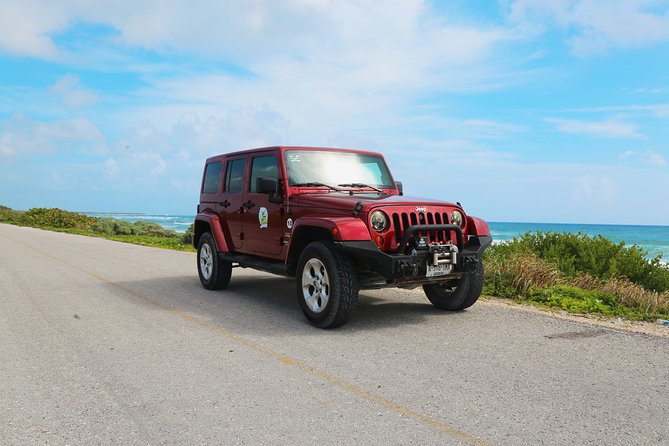 Jeep Exploration & All Inclusive Tortugas Beach Break (Private) - Customer Review Analysis