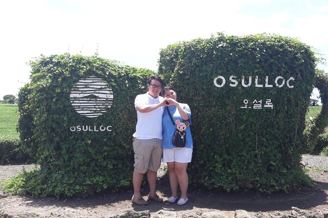 Jeju Island Private Taxi Tour in O`sulloc & Innisfree & Iho Beach - Tour Logistics and Vehicles