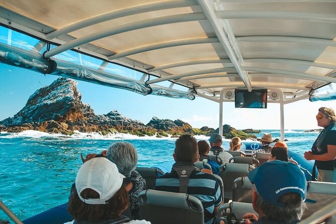 Julian Rocks Byron Bay: Coastal Discovery Cruise - What to Expect on Board