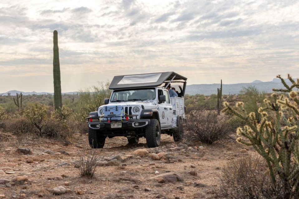 Jumping Cholla (Choya) Jeep Tour - Inclusions