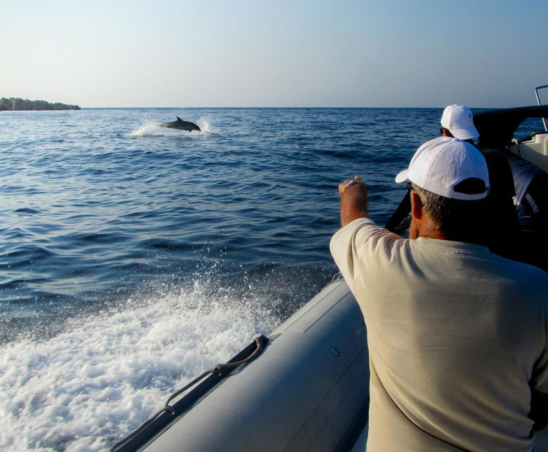 Kamiros Skala: Marine Life Experience by Boat - Experience Highlights