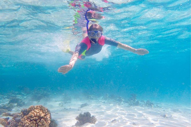 Lagoon Explorer - Ningaloo Reef Full-Day Kayaking and Snorkeling Adventure - What to Expect on the Tour