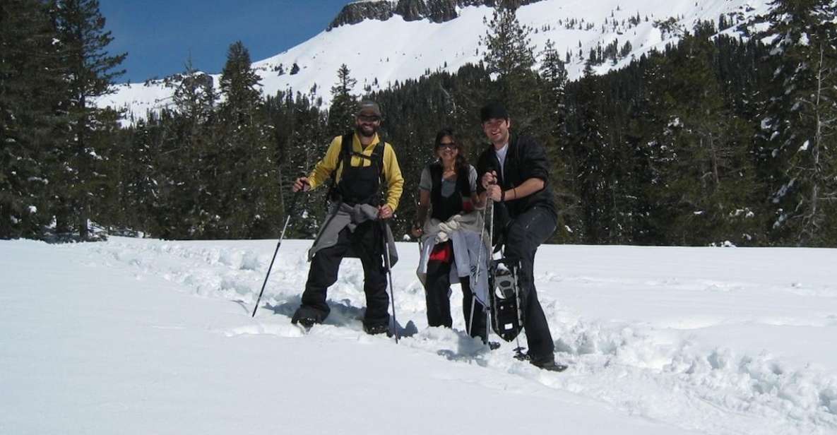 Lake Tahoe: Snowshoeing Guided Tour - Language and Highlights