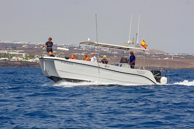 Lanzarote Sea Safari From Puerto Calero - Customer Reviews