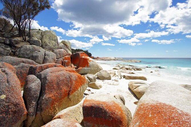 Larapuna / Bay of Fires Hiking Tour - 4 Days - What to Expect Each Day