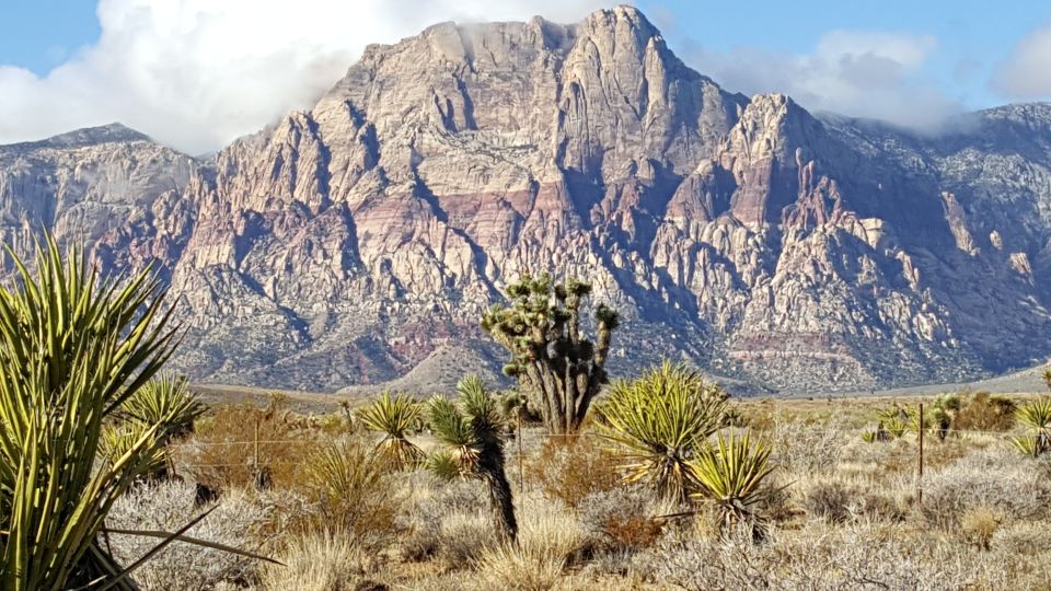 Las Vegas: Red Rock Canyon Ultimate Guided Tour - Inclusions and Exclusions