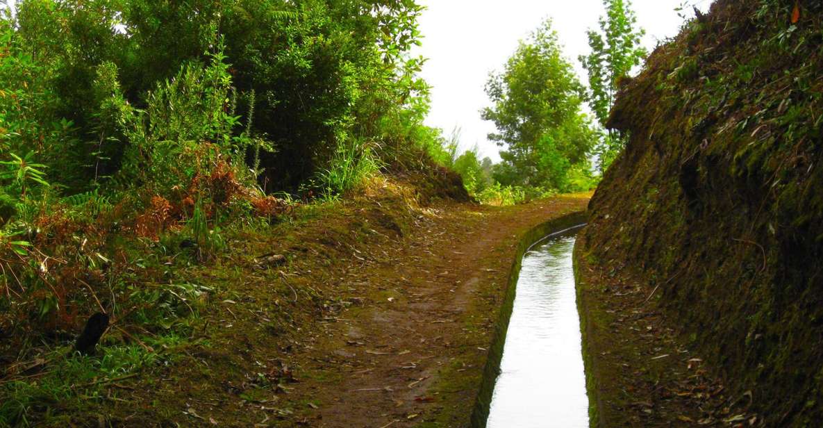 Madeira / Mimosa Valley - Levada Walk - Activity Provider and Duration