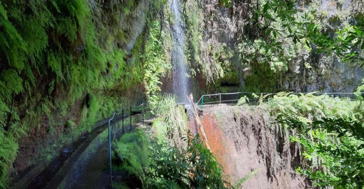 Madeira: Private Guided Levada Do Rei Walk PR18 - Inclusions and Exclusions