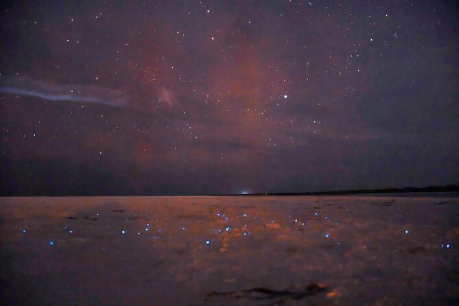 Magic Night of Stargazing and Bioluminescence - Best Time to Witness the Magic