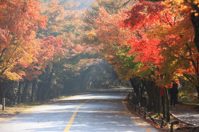 Magnificent Naejangsan National Park Autumn Foliage Tour From Seoul - Tour Highlights and Inclusions