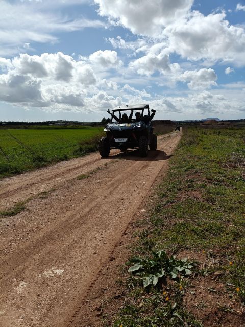 Mallorca: Buggy Adventure in the Mountains & Secret Coves - Activity Highlights