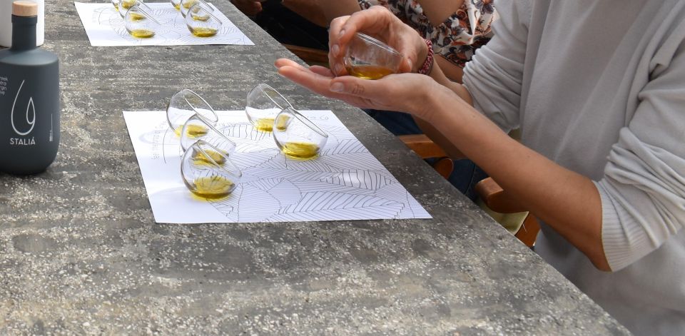 Messenia: Olive Oil Experience 2 -Tour and Food Pairing - Inclusions and Amenities