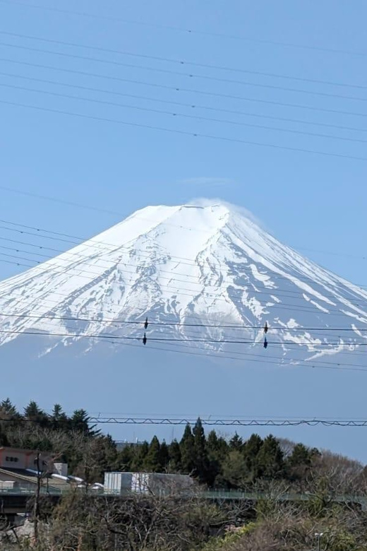 Mt Fuji & Hakone: Sightseeing Private Day Tour With Guide - Directions