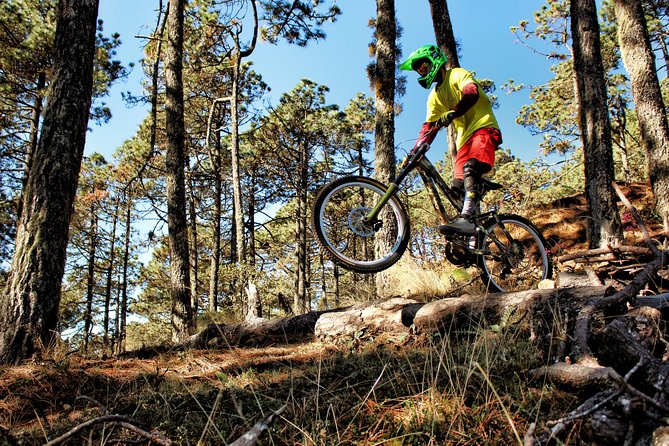 MTB Enduro at Oaxacas Legendary Trails - Trail Options and Difficulty Levels