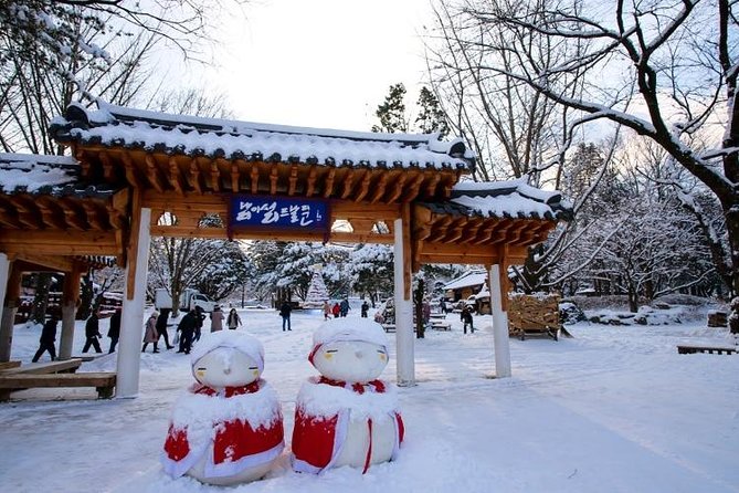 Nami Island and Ski Tour (Elysian Ski Resort) From Seoul - No Shopping - What to Expect at Nami