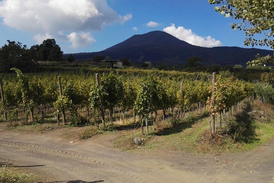 Naples: Pompeii Private Guided Hiking Tour - Tour Highlights