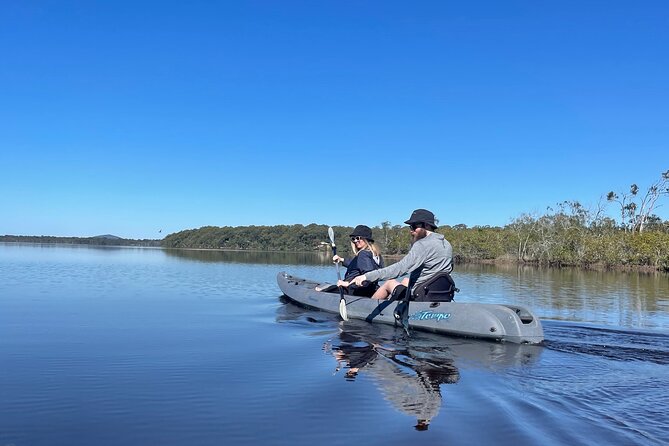 Noosa Everglade Kayak -South/Noosa End - Searching for Stingrays! - Stingray Spotting in Their Habitat