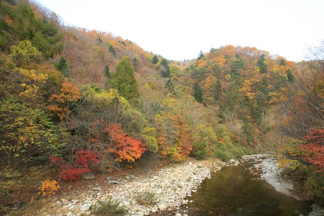 Odaesan National Park Hiking Day Tour: Explore Autumn Foliage Korea - Meeting and Pickup Details