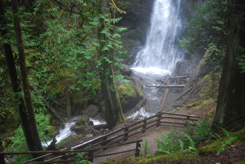 Olympic National Park: Sol Duc and Hurricane Ridge Tour - Detailed Itinerary