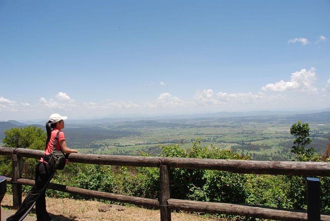 Oreillys & Lamington National Park From Gold Coast - Wine Tasting at OReillys Vineyards