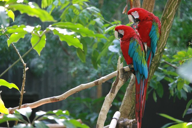 Palo Verde Boat Tour - Reviews and Ratings