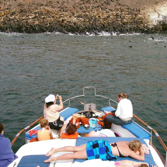 Palomino Islands Yacht Tour and Swim Alongside the Sea Lions - Itinerary Highlights and Schedule