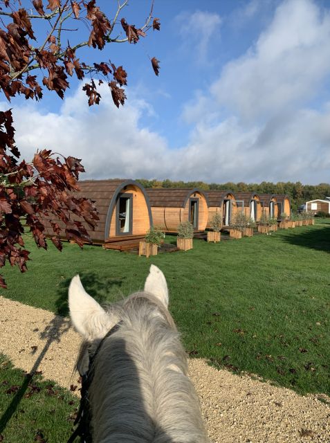 Paris : Horse Riding Camp With English Lessons in Senonches - Experience Highlights