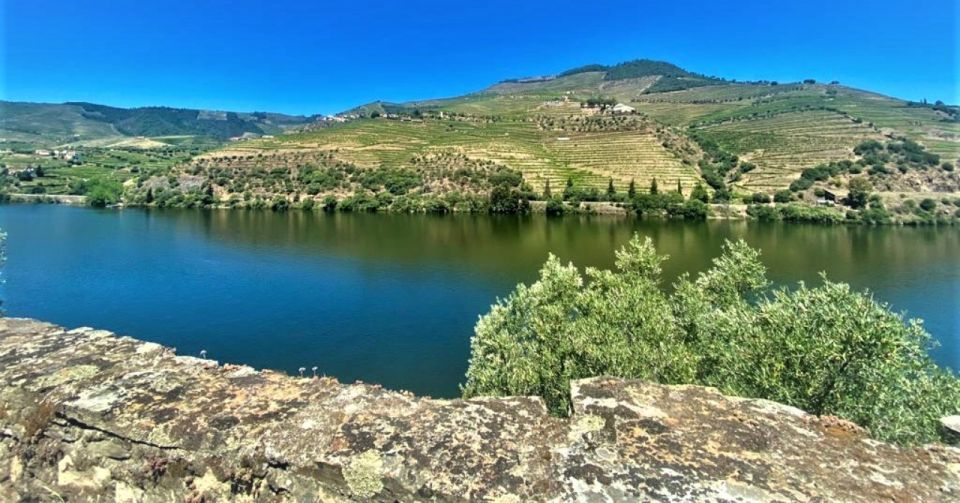 Porto: Douro Valley Tour With 3 Wineries & Lunch - Experience Highlights