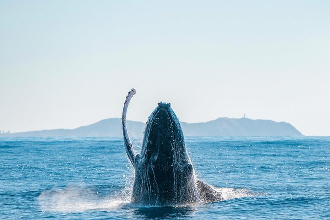 Premier Whale Watching Byron Bay - Meeting and Pickup Information