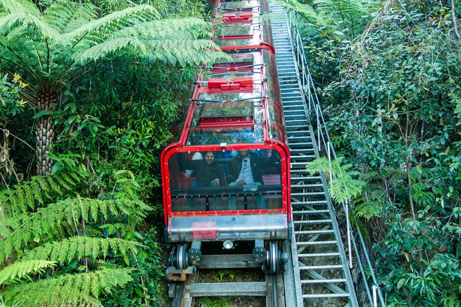 PRIVATE Blue Mountains & Scenic World Tour in a Luxury Car - Personalized Tour Experience