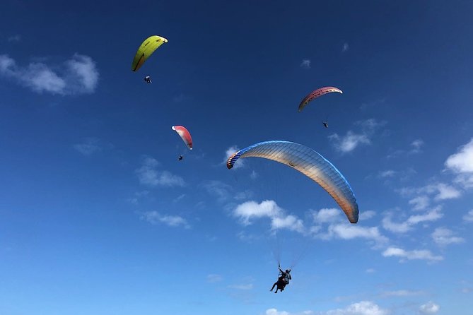 Private Tandem Paragliding Flight in Bizkaia - Inclusions in the Package