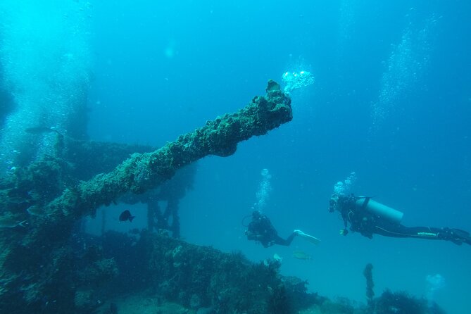 Puerto Morelos Reef National Park 2-Tank Scuba Dive  - Cancun - Boat Rides and Group Size