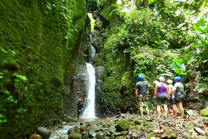 Pure Trek Canyoning and Waterfall Rappelling Tour in La Fortuna - Customer Reviews