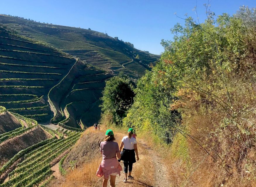 Quinta Do Portal: Walking With Full Lunch and Wine Tasting - Itinerary