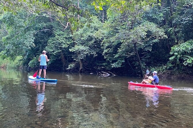 Rainforest Drift - FreshWater Rainforest - What to Expect on Tour