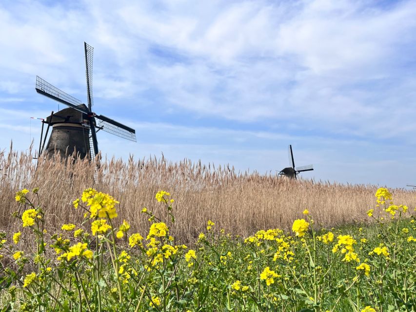 Rotterdam: Waterbus Ticket to Dordrecht And/Or Kinderdijk - Experience Highlights