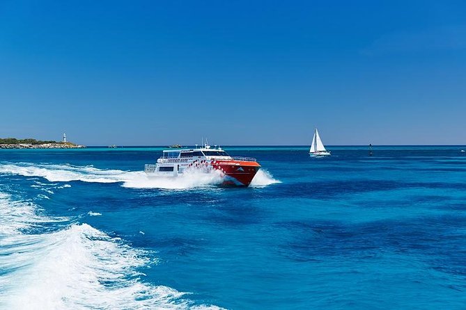 Rottnest Island Round-Trip Ferry From Perth - Whats Included in the Tour