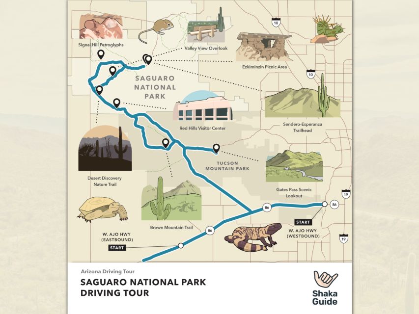 Saguaro National Park: Self-Guided GPS Audio Tour - Tour Experience and Itinerary