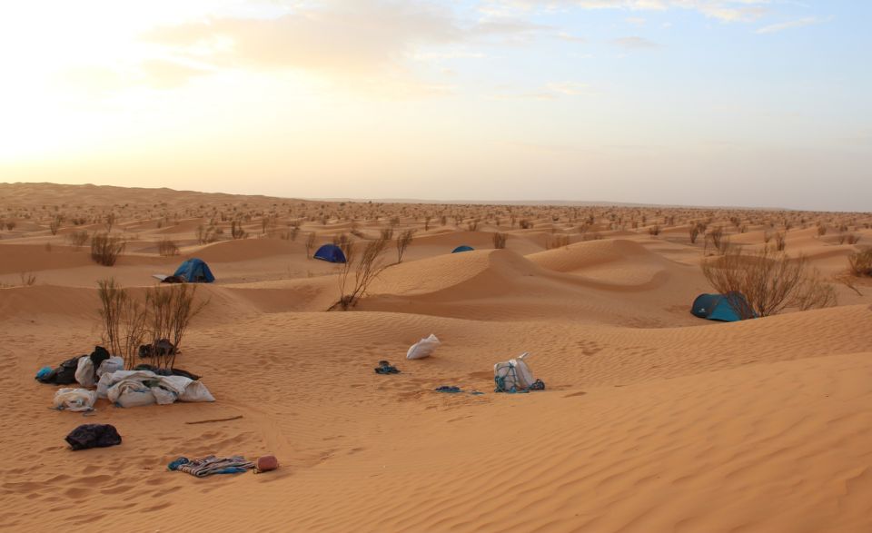 Sahara Desert: 2-Day Tour With Food and a Night in a Tent - Highlights and Inclusions