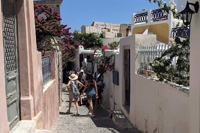 Santorini Private Custom Tour-5 Hours - Logistics and Accessibility