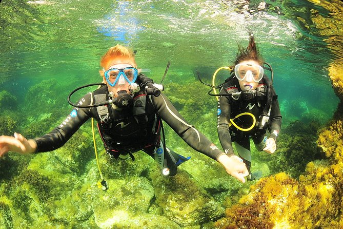 Scuba Diving Baptism and Snorkeling in Ibiza - Equipment and Experience