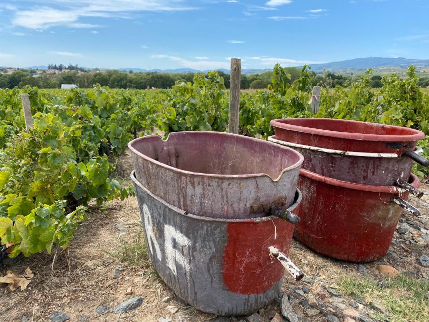 Self-Guided Day-Trip by Train to the Beaujolais (From Lyon) - Itinerary