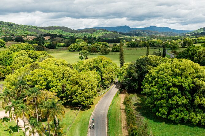 Self Guided E Bike Tour - Unicorn Falls, Rainforest & Rail Trail - Your Self Guided E Bike Adventure