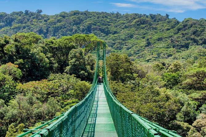 Selvatura Park Hanging Bridge Tour in Monteverde - Environmental Conservation Efforts