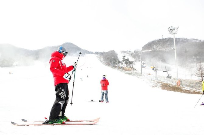 Seoul Ski Tour at Jisan Forest Resort - What to Expect on Tour